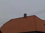 Třibřichy